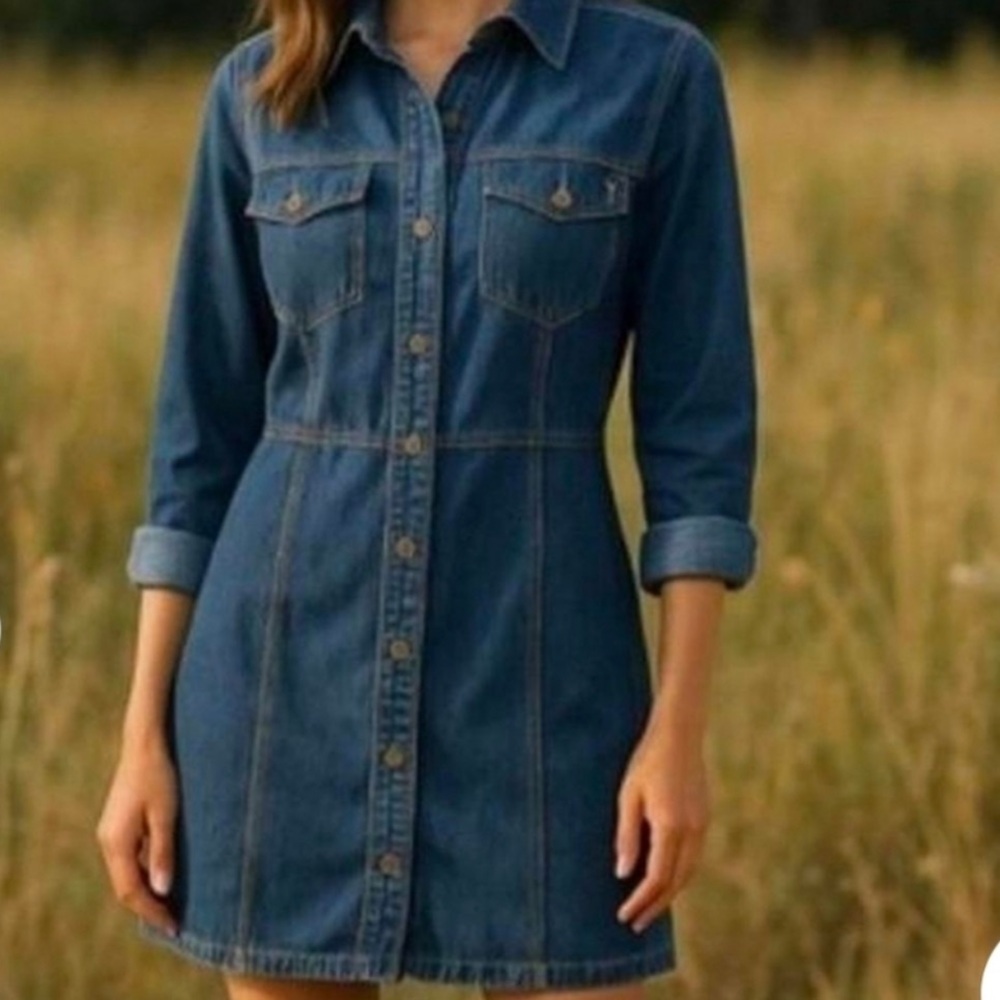 Frye Women's Dark Wash Denim Long-Sleeve Button Front Dress (Sz M)c3